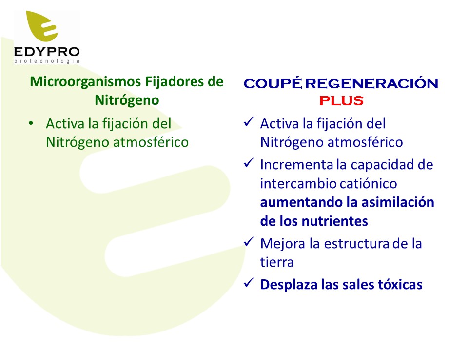 Comparativa COUPÉ y fijadoras de N